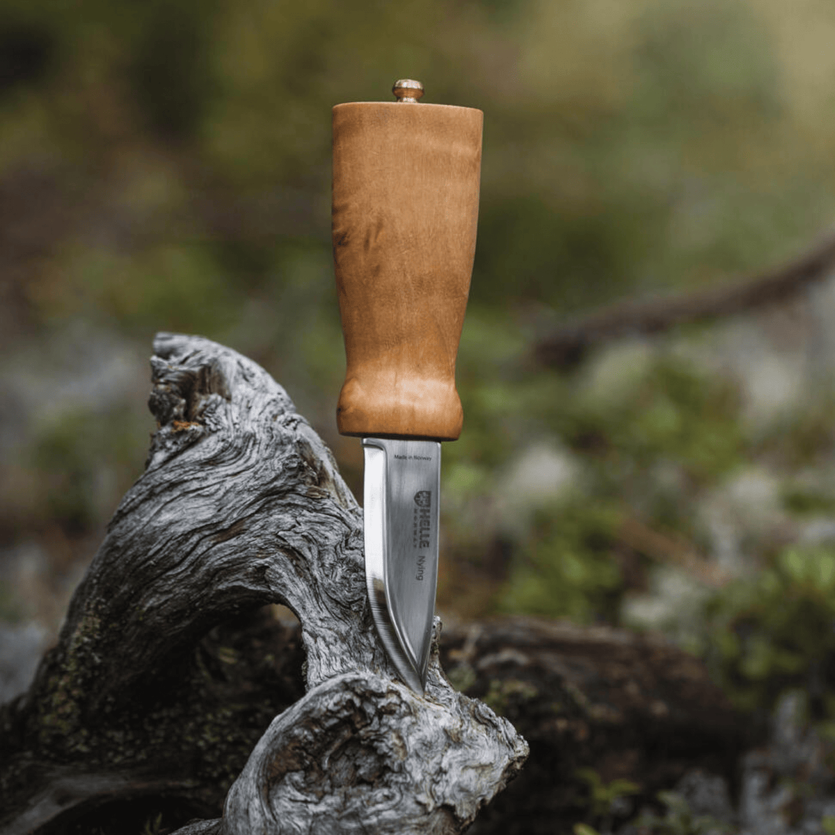 Helle Nying – Fjellgave